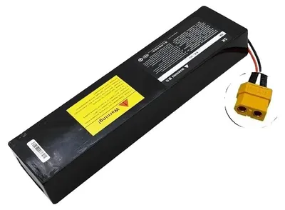 Image de Batterie lithium-ion, capacité de 100 Ah, avec système de gestion de batterie (BMS) et connecteur XT60