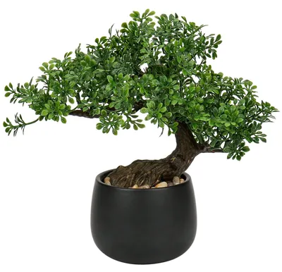 Imagen del producto de Planta artificial tipo bonsái - 25 cm - Maceta de cerámica