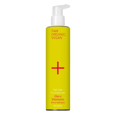 Image de Hair Care - Shampooing brillant 250ml