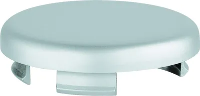 Produktbild von Grohe Relexa / Tempesta Abdeckhaube für Wandbrausehalter matt verchromt - 45652P00