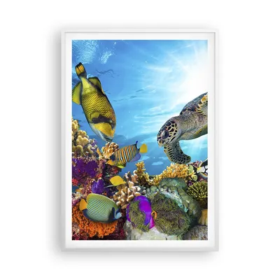 Produktbild von Gerahmtes Poster - Weißer Rahmen - Riff Koralle Fisch - 70x100 cm - Wand Bild - Wanddeko - Wandbilder - Kunstposter - Wandposter - Bilderrahmen - Bilder - Kunstdruck - Wandbild - P2WPA70x100-3704