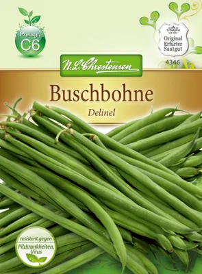 Produktbild von Buschbohne Delinel | Buschbohnensamen von N.L. Chrestensen