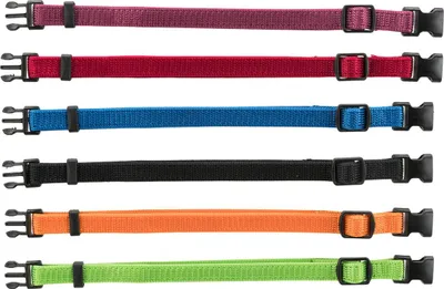 Image de Ensemble junior colliers pour chiots 22–35 cm/10 mm noir, rouge, bleu royal, pomme, papaye, orchidée