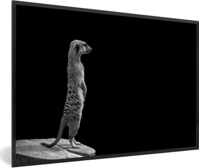Produktbild von MuchoWow® Gerahmtes Poster Erdmännchen für schwarzen Hintergrund - schwarz und weiß 90x60 cm - Poster mit Schwarzem Bilderrahmen Wandposter Rahmen Foto Bilder - Fotorahmen - Foto-Plakat