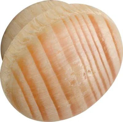 Produktbild von Holzabdeckkappe ø 14 mm, Zapfen ø 10 mm, Zapfenlänge 4 mm, Fichte roh