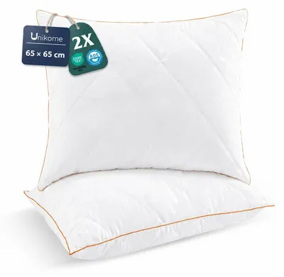 Daunenkissen 65x65 cm, Set von 2, Gänsedaunen, 100% Bio-Baumwolle, Oeko-Tex
