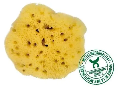 Produktbild von Croll & Denecke Naturschwamm L 180, echter Meeresschwamm für Bad & Dusche, ca. 18 cm