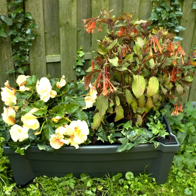 Produktbild von Pflanzkasten NYVIGreen 79x35x33 cm 42 Liter mit Bewässerungssystem & Rollen - Pflanzkübel aus wetterfestem & recyceltem Kunststoff, Farbe:Anthrazit