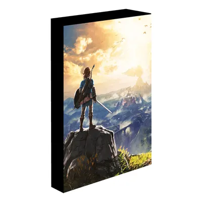 Zdjęcie produktu dla Obraz LED 30x40 cm, Zelda