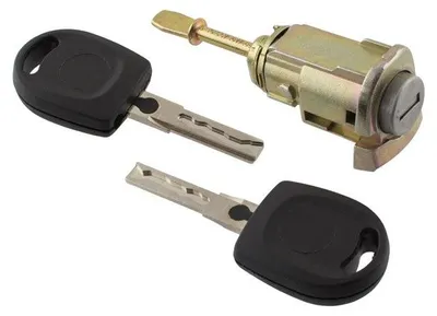 Für VW Lupo / Seat Arosa Türschloss Schließzylinder VORNE RECHTS + 2x Schlüssel in der Farbe von GOLDCAR
