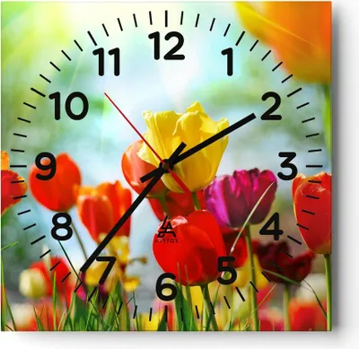 Produktbild von Wanduhr - Quadrat - Glasuhr - Tulpe Blume Plantage Wiese - 40x40cm - Schleichendes Uhrwerk - Lautlos - zum Aufhängen bereit - Dekoration Modern - Wanddekoration aus Glas - C4AC40x40-2566