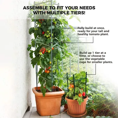Produktbild von Tuinpalen 11 mm x 60 cm, 12 Stück, Pflanzenstützen für Garten und Balkon