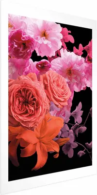 Produktbild von Posterpapier Poster - Spring Breeze 29.7x42 cm Blumen b-C-0357-ao-a
