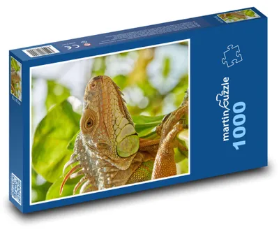Produktbild von Puzzle 1000 Leguan im Dschungel - martinpuzzle
