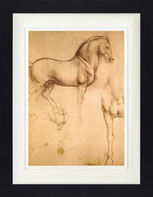 Produktbild von Leonardo Da Vinci Gerahmtes Bild Mit Edlem Passepartout | Wand-Bilder | Im Bilderrahmen - Pferdestudie, 1493-1494 (40 x 30 cm)