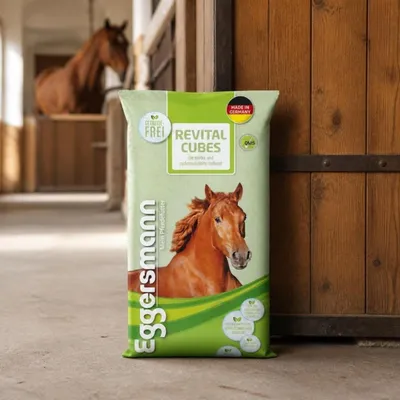 Zdjęcie produktu dla Eggersmann ReVital Cubes – granulat dla koni, 25 kg, Obraz wygenerowany przez AI