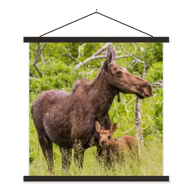 Produktbild von MuchoWow® Textilposter Rentier - Pflanzen - Kalb 60x60 cm mit schwarzem Rahmen - Posteraufhänger