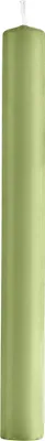 Produktbild von Stabkerzen Kiwi 250 x Ø 30 mm, 12 Stück