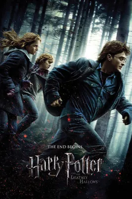 Obrázok produktu pre Harry Potter a Dary smrti 1 plagát 61 x 91,5 cm