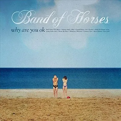 Produktbild von Band Of Horses-Why Are You Okay