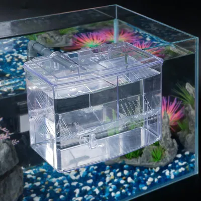 Produktbild von Elzusha – Aquarien-Brutkasten für Babyfische und Garnelen mit 3 Kammern
