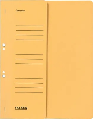 Image de FALKEN 80003833 Farde à 50 oeillets chamois DIN A4