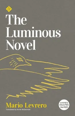 Immagine prodotto di The Luminous Novel