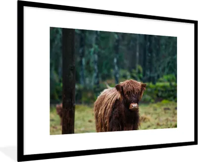 Produktbild von MuchoWow® Gerahmtes Poster Schottischer Hochländer - Wald - Moos 90x60 cm - Poster mit Schwarzem Bilderrahmen Wandposter Rahmen Foto Bilder - Wanddekoration - Fotos