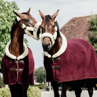 Produktbild von Kentucky Horsewear Abschwitzdecke Fleece Show Heavy Fellkragen Bordeaux 155