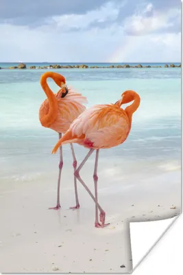 Produktbild von MuchoWow® Poster Flamingo - Meer - Sommer 120x180 cm - Kunstposter