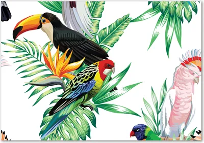 Produktbild von Tulup® Leinwandbild - 100x70 cm - Wandkunst - Drucke auf Leinwand - Leinwanddruck  - Tiere - Mehrfarbig - Tropische Vögel
