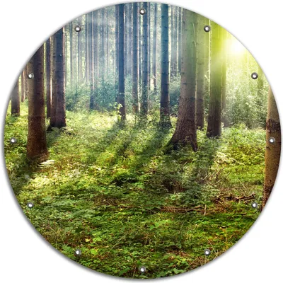 Produktbild von Wallario rundes Outdoor-Poster für Garten oder Balkon, Motiv Sonnenuntergang im Wald zwischen den Bäumen, 90 cm Durchmesser