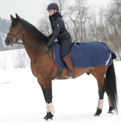 Produktbild von Bucas Ausreitdecke Riding Rug Navy/ Silver L
