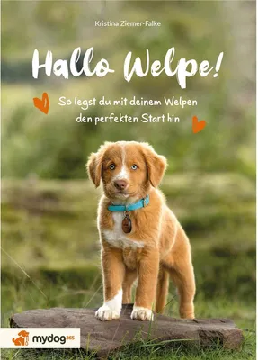 Produktbild von Hallo Welpe!