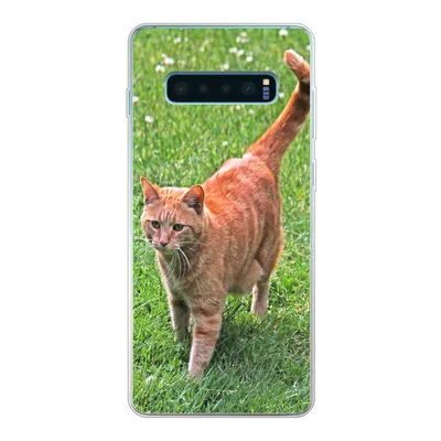Produktbild von MuchoWow® Handyhülle Schutzhülle Hülle für Samsung Galaxy S10 Lite Katze - Rot - Katze - Mädchen - Kinder - Jungen - Kind Silikon Softcase Handy Hülle - Schutz