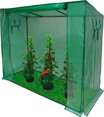 Produktbild von Tomaten Gewächshaus 200/80/170cm