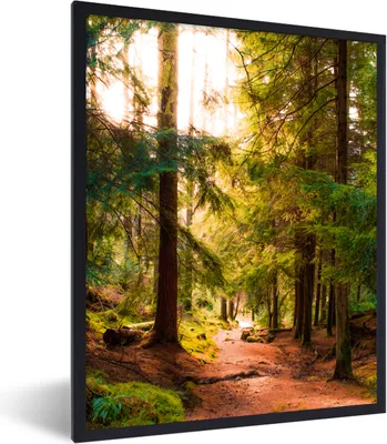 Produktbild von MuchoWow® Gerahmtes Poster Wald - Weg - Bäume - Grün - Sonne - Natur 60x80 cm - Poster mit Schwarzem Bilderrahmen Wandposter Rahmen Foto Bilder - Premium - Wanddeko Wohnzimmer