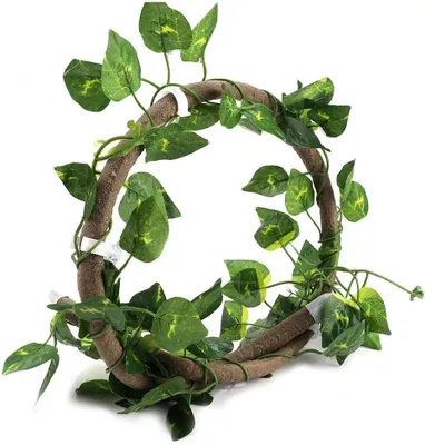 Imagen del producto de Enredaderas flexibles para terrarios de reptiles, de 3,28 metros de longitud, con ventosas para la decoración de terrarios
