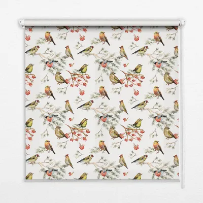 Produktbild von Seitenzug-Rollo Fensterrollo Jalousie - Thermo-Rollo Verdunkelungsrollo - 90x240 cm - Vögel auf Zweigen