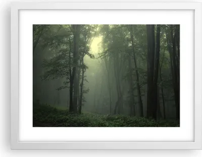 Produktbild von Gerahmtes Poster - Weißer Rahmen - Wald Nebel Baum - 40x30 cm - Wand Bild - Wanddeko - Wandbilder - Kunstposter - Wandposter - Bilderrahmen - Bilder - Kunstdruck - Wandbild - P2WAA40x30-3543