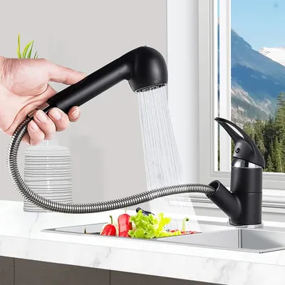 A hand holding a black pull-down kitchen faucet sprayer over a sink with vegetables.