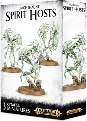 Obrázek produktu pro W-AOS: Nighthaunt Spirit Hosts (3 figurky)