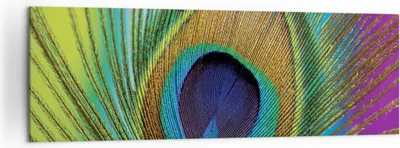 Produktbild von Bild auf Leinwand - Leinwandbild - Einteilig - Pfauen Federn Regenbogen - 160x50cm - Wand Bild - Wanddeko - Wandbilder - Leinwanddruck - Bilder - Wanddekoration - Leinwand bilder - AB160x50-4385