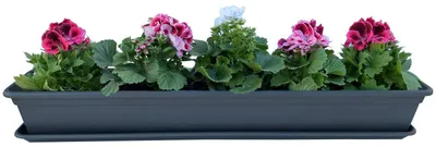 Produktbild von Blumenkasten Balkonkasten Pflanzkasten Anthrazit mit Bewässerungssystem und Balkonkasten Untersetzer 100cm