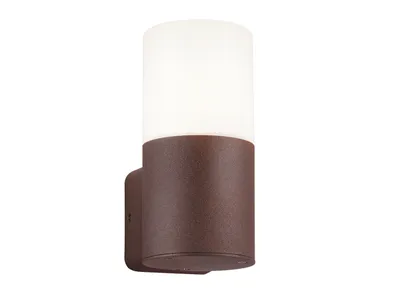 Zdjęcie produktu dla Lampa elewacyjna kinkiet zewnętrzny HOOSIC miedziany Trio 222260124