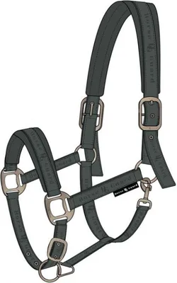 Immagine prodotto di HorseGuard Halter Diya 2.0 Verde foresta, taglia:Shetty