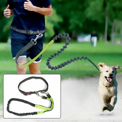 Produktbild von Einstellbare Joggingleine Walkingleine Hundeleine Wanderleine mit Bauchgurt