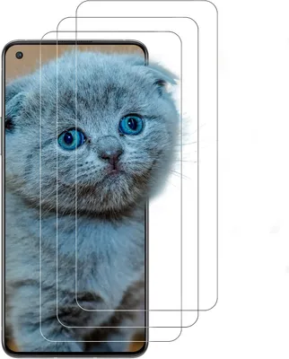 Produktbild von 3X 9H Gehärtetes Glas Für Oneplus 9/8T