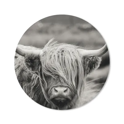 Produktbild von MuchoWow® Mauspad Mousepad Schottischer Highlander - Kuh - Tiere - Schwarz-Weiß - Ländlich 20x20 cm - Mousepads - Maus Mat - Pad - Mausunterlage - Schreibtischmatte