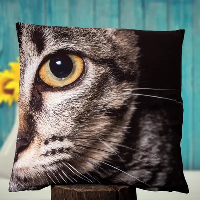 Produktbild von Kissen, Polyester, Groß, schwarz, Katzenauge